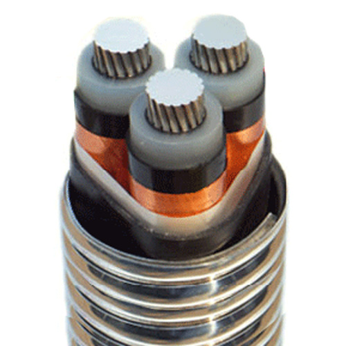 产品展示